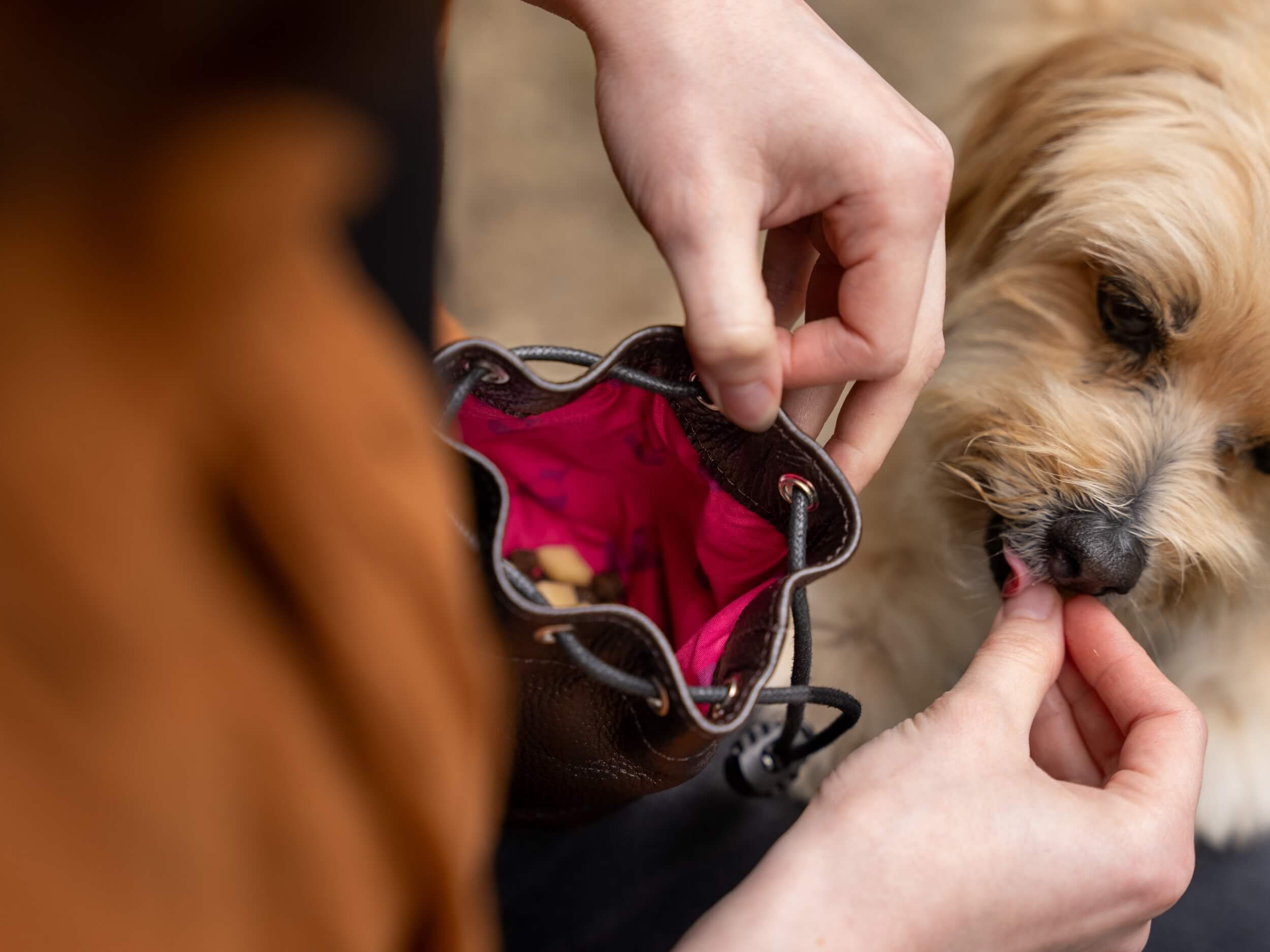 Leckerlibeutel Leder 